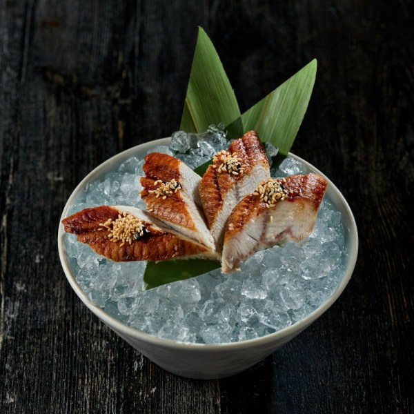 sashimi-ugor